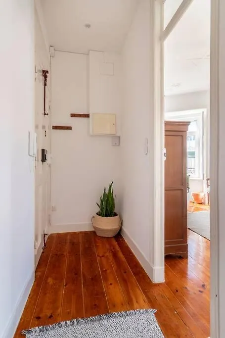 Casa Das Flores 4Br + Office Space And A/C Lisbon